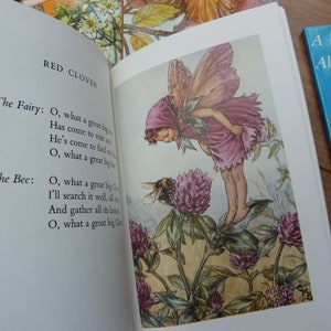 Flower Fairies Collection Slipcase containing Seven Paperback Illustrated books Cicely Mary Barker 7 Book set 1970s Books Immaculate image 5
