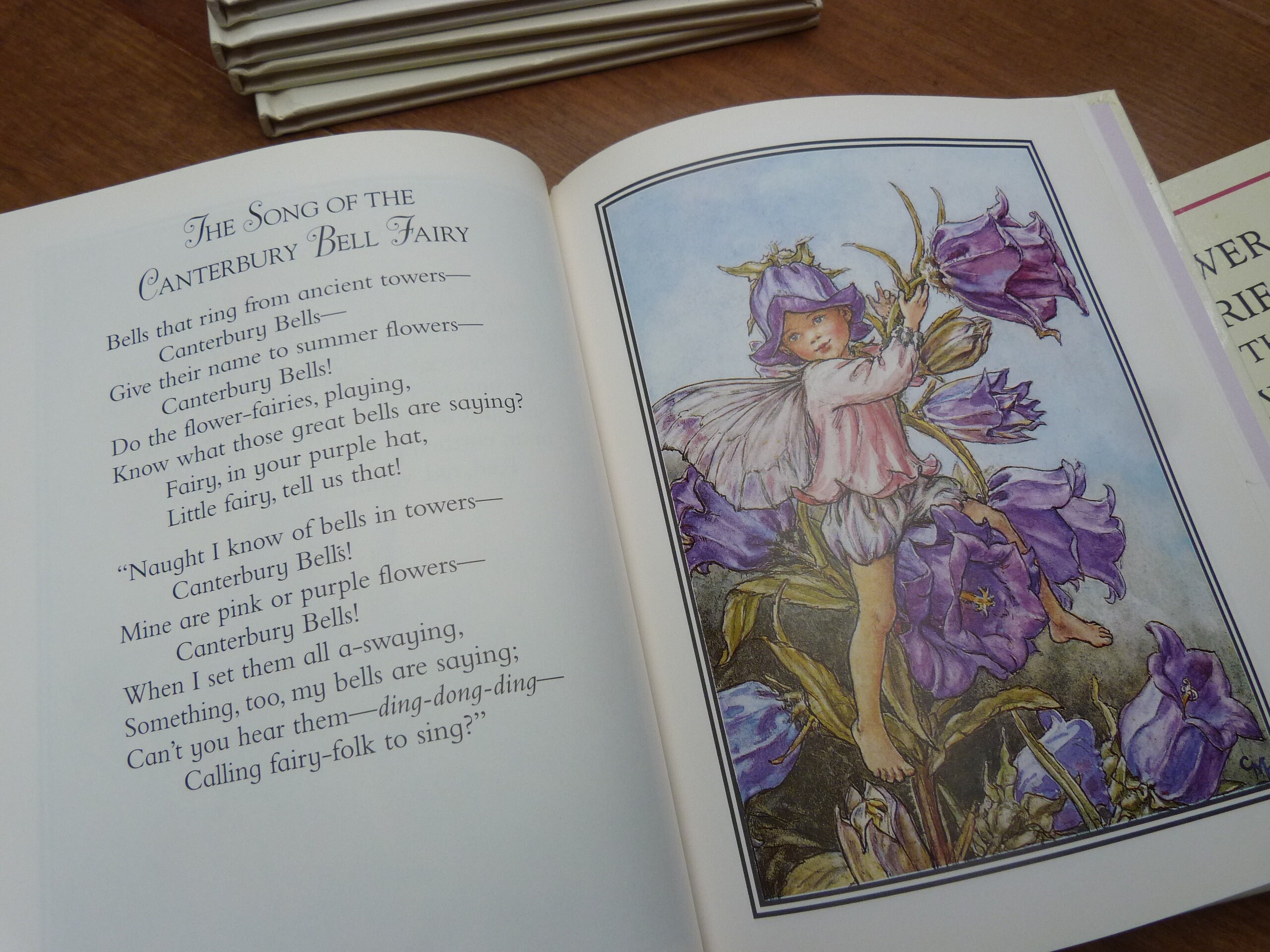 Flower Fairies Library Collection of 8 Hardback Illustrated Books