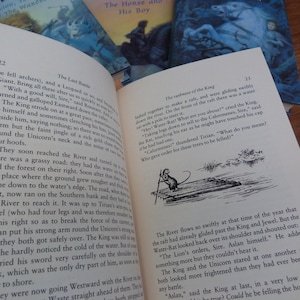 May include: A close-up of a page from a book titled "The Last Battle" with text about a unicorn and a river. The text reads, "They soon reached the River and turned up a grassy road: they had the water on their right. Soon after that they came down to the water's edge. The road, when it, now ran on the Southern bank and there was the River to reach it. It was up to Tirian's arm's length and was therefore carried on his right so as to break the force of the current. Tirian put his strong arm round the Unicorn's neck and they both got safely over. The King was so strong that he hardly noticed the cold of the water. But as soon as he dried his sword very carefully on the shoulder of his cloak, which was the only dry part of him, as soon as they came to shore."