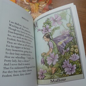 Flower Fairies Collection Slipcase containing Seven Paperback Illustrated books Cicely Mary Barker 7 Book set 1970s Books Immaculate image 4