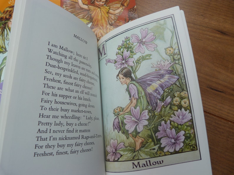 Flower Fairies Collection Slipcase containing Seven Paperback Illustrated books Cicely Mary Barker 7 Book set 1970s Books Immaculate image 4