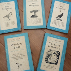 Vintage Bird Recognition Books 1-3 and more Collection of 5 1950s Blue Pelican books by James Fisher Watching Birds