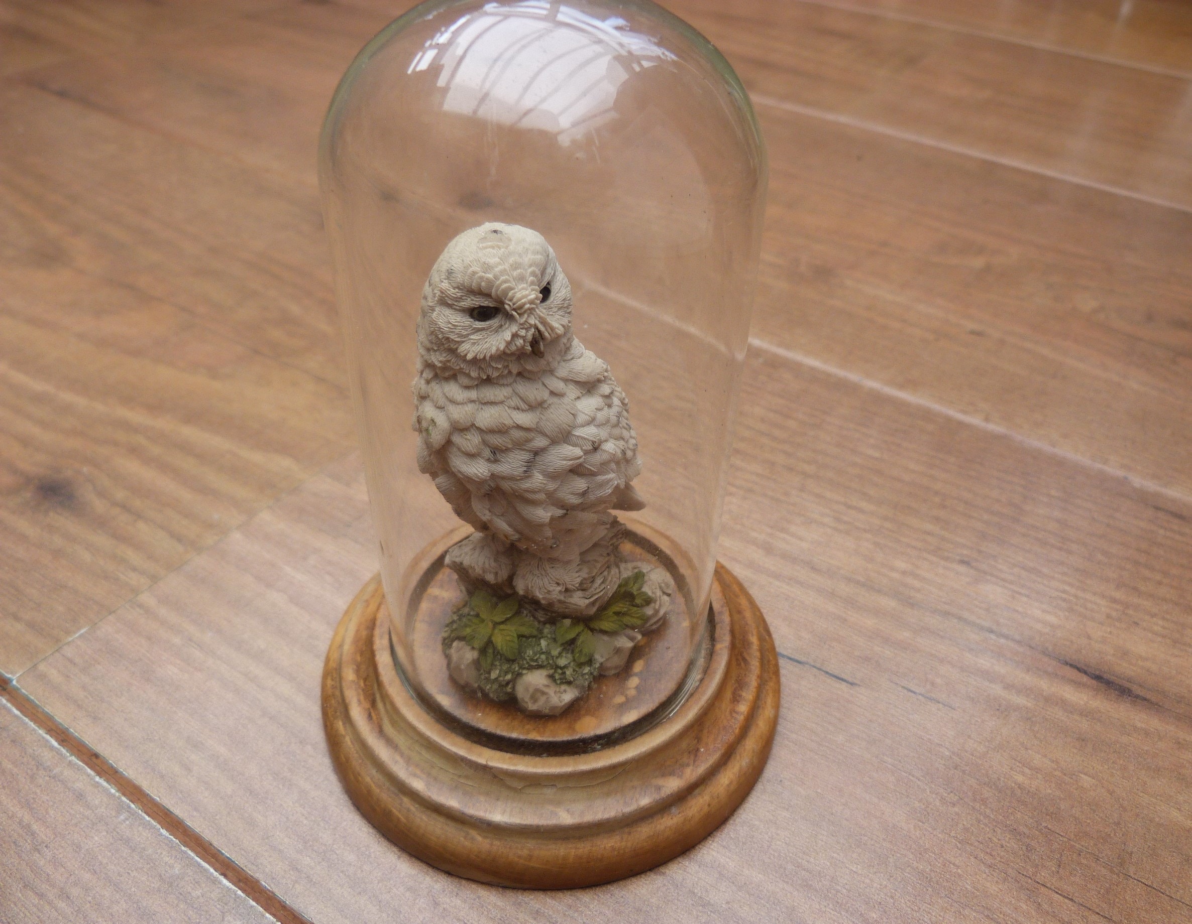 Snowy Owl Country Artists Bird Model on Plinth and Glass Dome Wildlife English Country Life