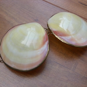 Shell Trinket Box Hinged 3 Inch Natural Shell Jewellery Box