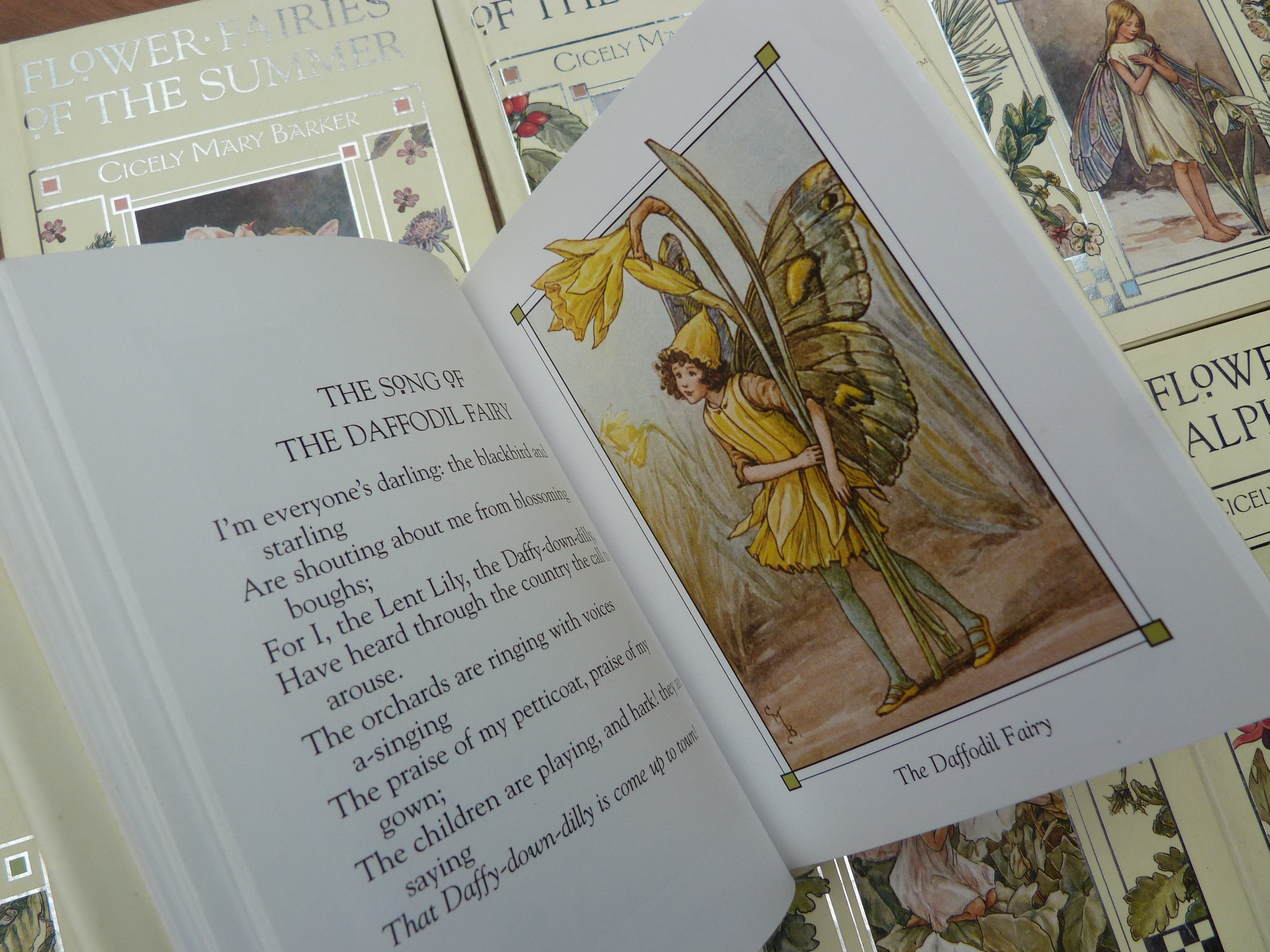 Complete Flower Fairies Collection Slipcase Containing Eight