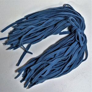 Dorr Mill Wool Strips Rug Hooking New Color Blue NE 18" long #8 Cut 50 ct.