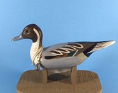 Miniature Pintail Decoy