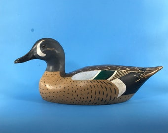 Blue Winged Teal decoy