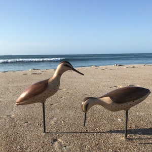 Shorebird Pair