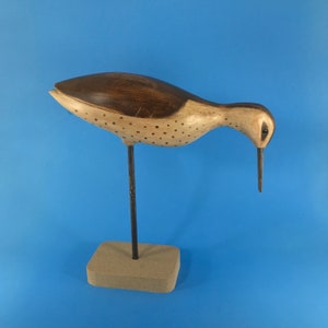 Shorebird