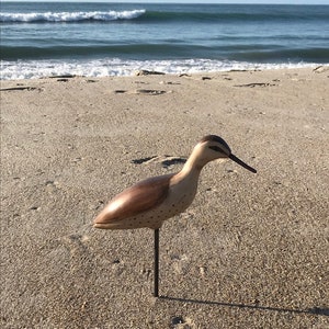 Shorebird decoy carving