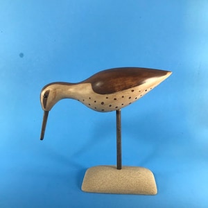 Shorebird
