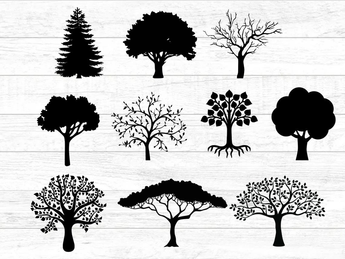 Tree SVG Bundle, Family SVG Bundle, Tree Cut File, Tree Clipart, Tree ...