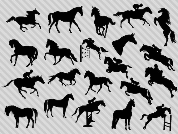 Download Horse Svg Bundle Horse Clipart Horse Silhouette Svg Horse Etsy