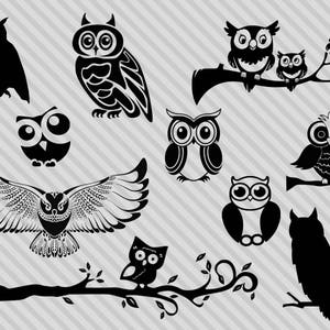 Bundle svg chouette, chouette svg, clipart chouette, fichiers de coupe svg chouette, chouette silhouette svg, téléchargement immédiat png