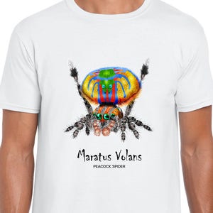 Peacock Spider Maratus Volans Short-Sleeve Unisex T-Shirt