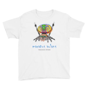 Peacock Spider Maratus Volans Unisex Youth camiseta de manga corta