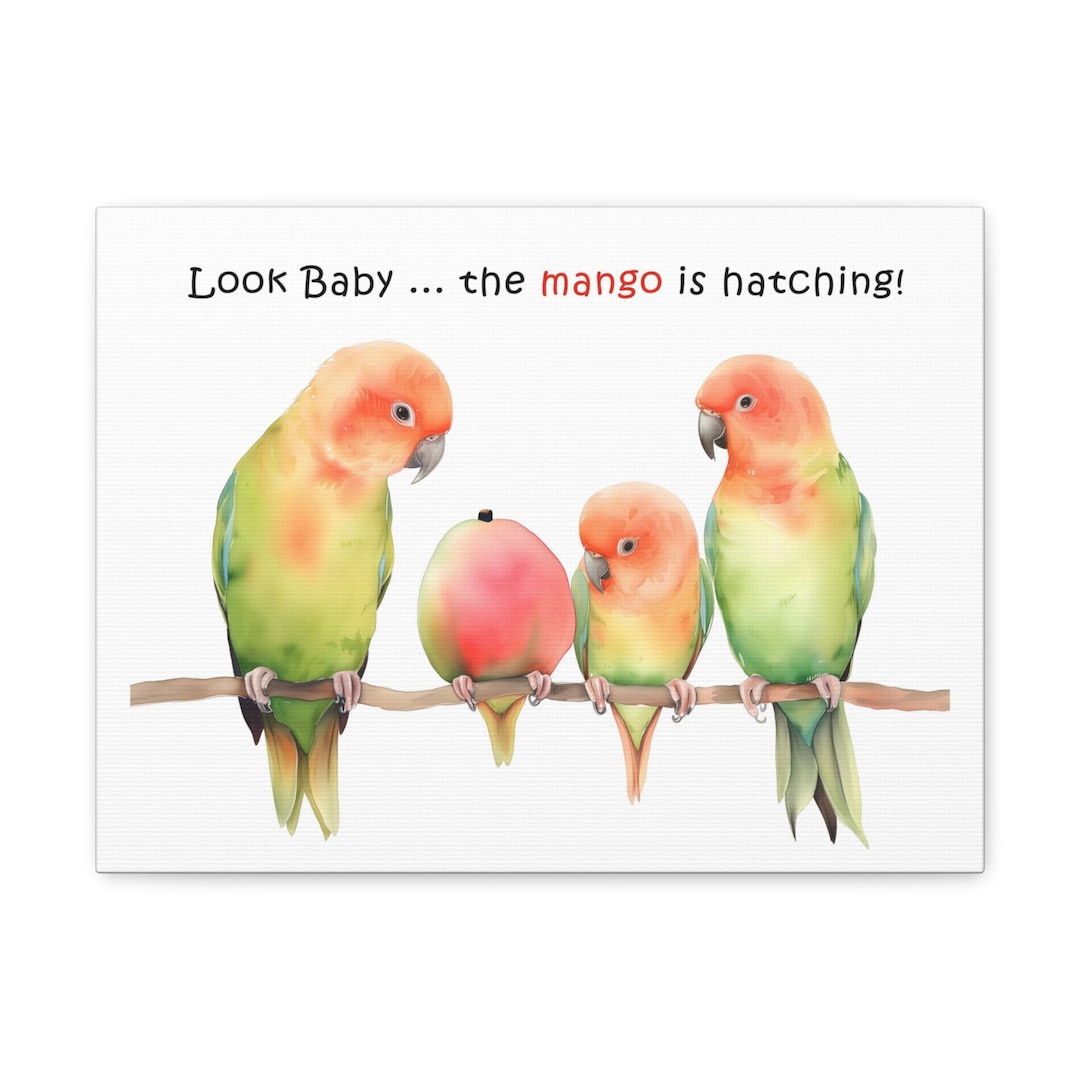 Baby Lovebird For Sale Singapore Lovebird Parents And Baby