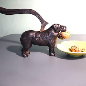 Antique nutcracker dog, cast iron, around 1900, Edwardian style, humorous animal statue, well preserved and working, lifelike, patina