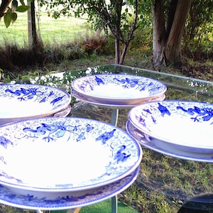 May include: Four white porcelain plates with a blue bird and floral design. The plates are arranged on a glass table outdoors, with a white metal chair visible in the background. The plates are stacked on top of each other.