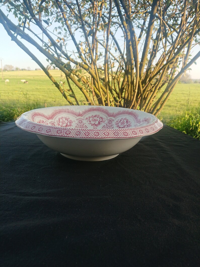 May include: A white ceramic bowl with a wide rim featuring a red floral pattern. The bowl is set on a black surface, with a natural outdoor background of trees and a green field. The bowl is likely vintage or antique.