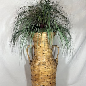 Rare Mid Century French Large Tall Two Handle Basket