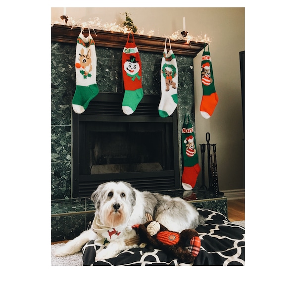 Personalized hand knit Christmas stockings