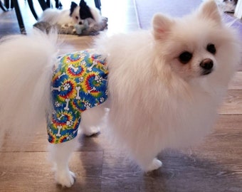 swim shorts for dogs