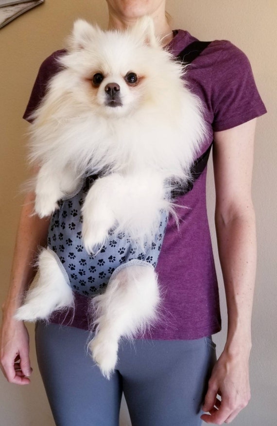 dog front facing carrier