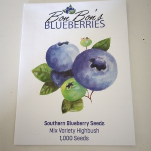 1000 Southern Blueberry Seeds with Free Shipping