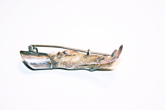 Antique Scottish Grouse Claw Kilt Pin - image 5