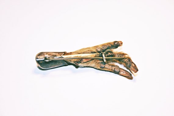 Antique Scottish Grouse Claw Kilt Pin - image 4