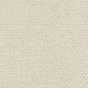 Puede incluir: Primer plano de una tela texturizada con un patr&oacute;n de diamantes repetido. La tela tiene una paleta de colores neutros, con un fondo beige claro y contornos de diamantes blancos. El tejido parece apretado y duradero.