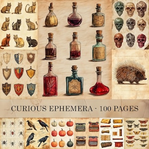 May include: A collection of vintage-style illustrations on aged paper. The image features cats, potion bottles, shields, skulls, a hedgehog, spiders, crows, pumpkins, typewriters, scrolls, and butterflies. The text reads "CURIOUS EPHEMERA - 100 PAGES."