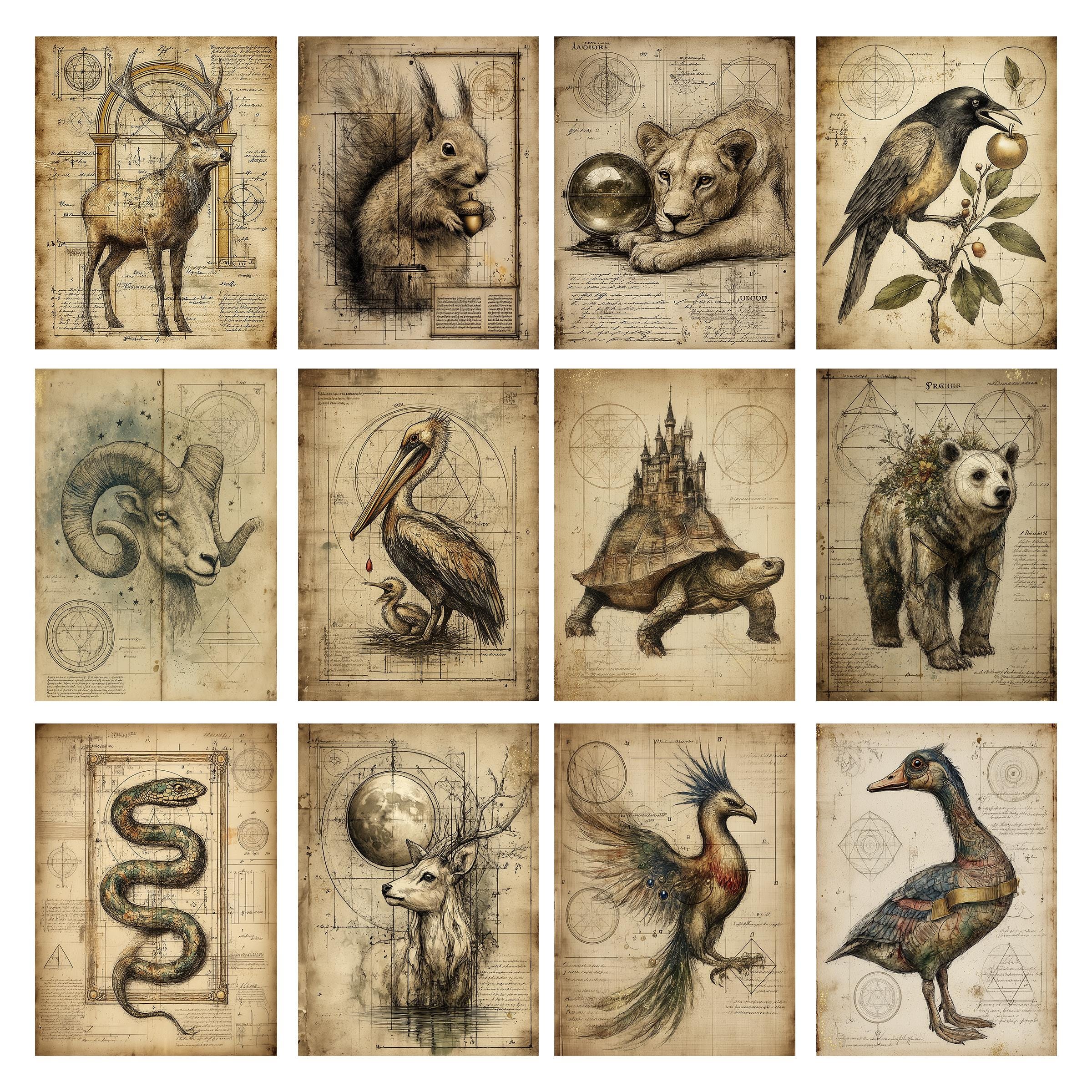 Alchemical Bestiary Digital Paper Pack,medieval Manuscript Creature ...