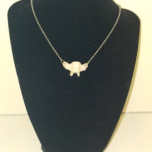 Raccoon Vertebrae Necklace; Real Animal Bone Necklace; Gothic Jewelry; Bone Jewelry; Witchy Vibes; Wicca Vibes