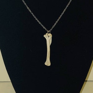 Squirrel Long Bone Necklace; Real Animal Bone Necklace; Gothic Jewelry; Bone Jewelry; Witchy Vibes; Wicca Vibes