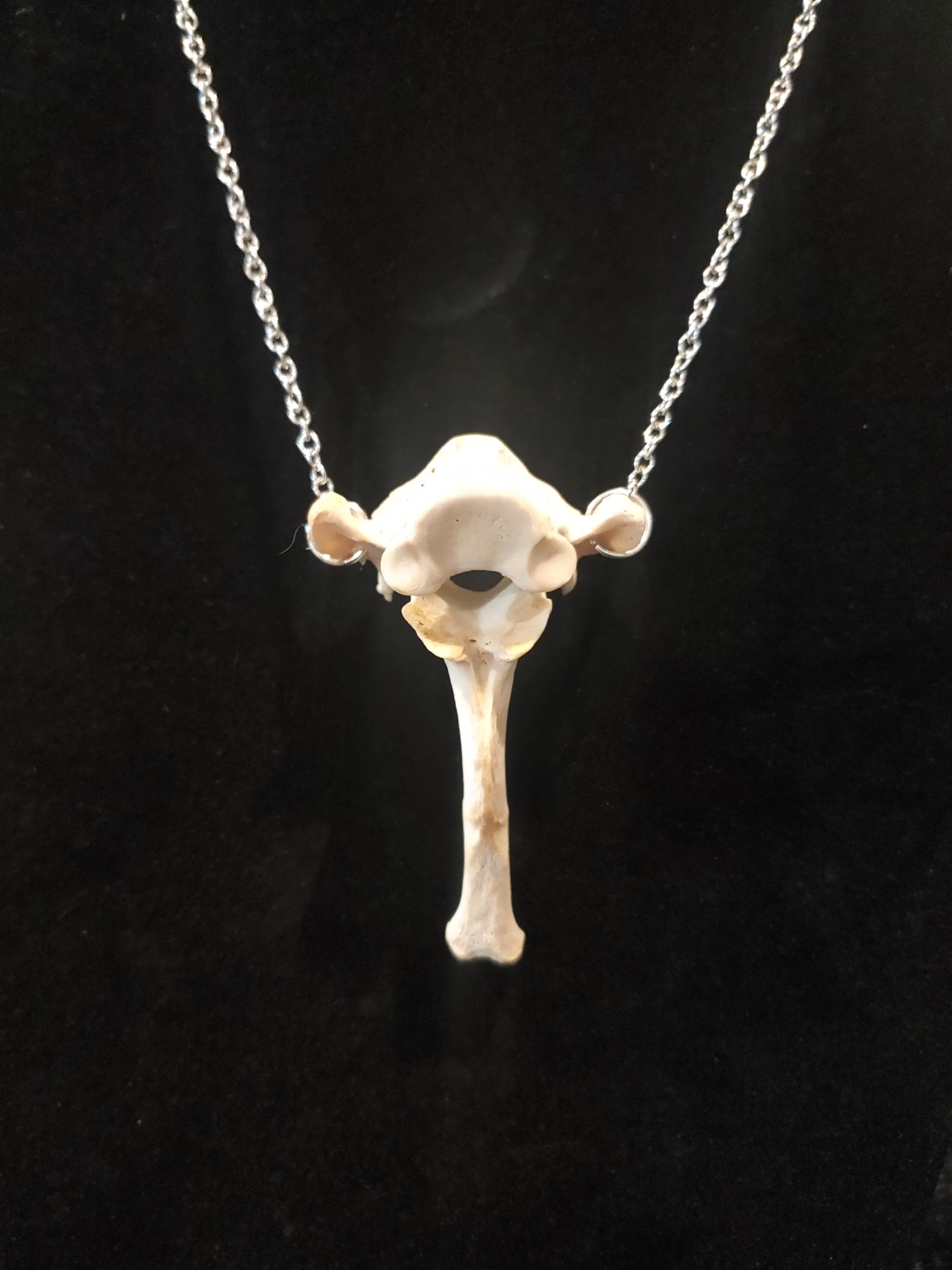 Real Bone Necklace - Etsy