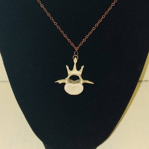 Raccoon Vertebrae Necklace; Real Animal Bone Necklace; Gothic Jewelry; Bone Jewelry; Witchy Vibes; Wicca Vibes