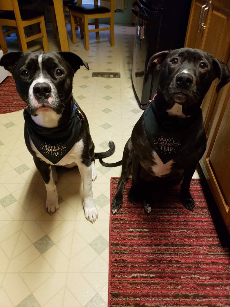 Happy New Year Bandana