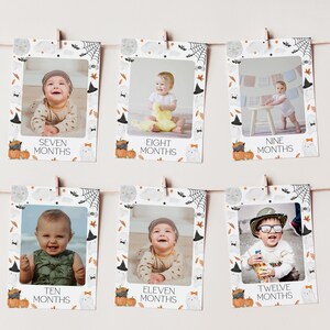 May include: A collection of six Halloween-themed baby milestone photo cards. Each card features a baby photo and the month, from seven to twelve months. The cards are decorated with pumpkins, ghosts, bats, and spiderwebs.