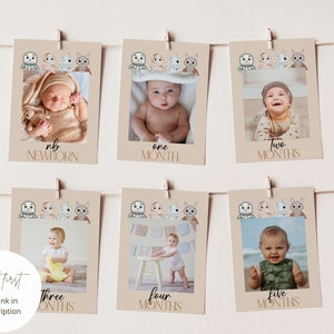 Op de afbeelding: Een set van zes beige fotokaarten met een bruin touwtje aan elke kaart. Elke kaart heeft een cartoonillustratie van een luiaard, een mummie en een kat. De kaarten zijn genummerd van pasgeborene tot vijf maanden. Elke kaart heeft een foto van een baby in het midden.