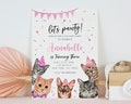 Cat Themed Birthday Invitation, Cat Birthday Invite, Cat Birthday Invitation, Cat Invitation, Are you kitten me Invitation, Editable product logo