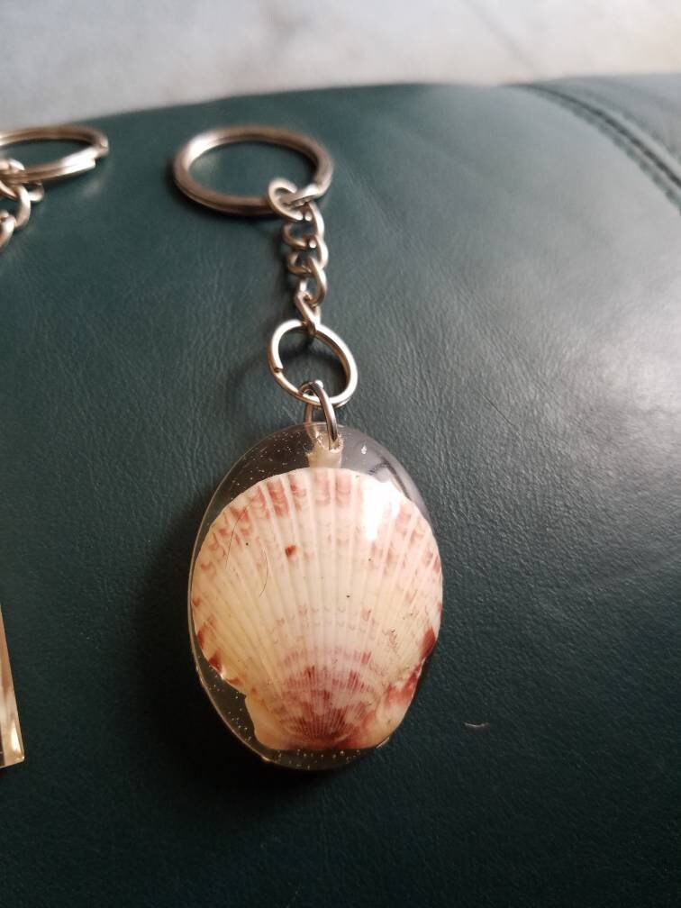 Seashell keychain Etsy