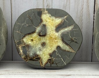 Septarian Nodule geode end-cut | dragon's egg, calcite crystal, calcite, aragonite stone, septarian crystal, septarian geode