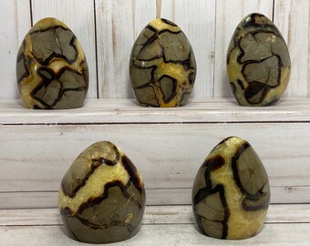 Septarian Dragon Stone Standing Freeform