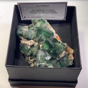 May include: A vibrant green fluorite mineral specimen from the Hidden Forest Pocket, Diana Maria Mine, in a black display box. The specimen features crystalline structures with a mix of green hues. A label provides details about the origin.