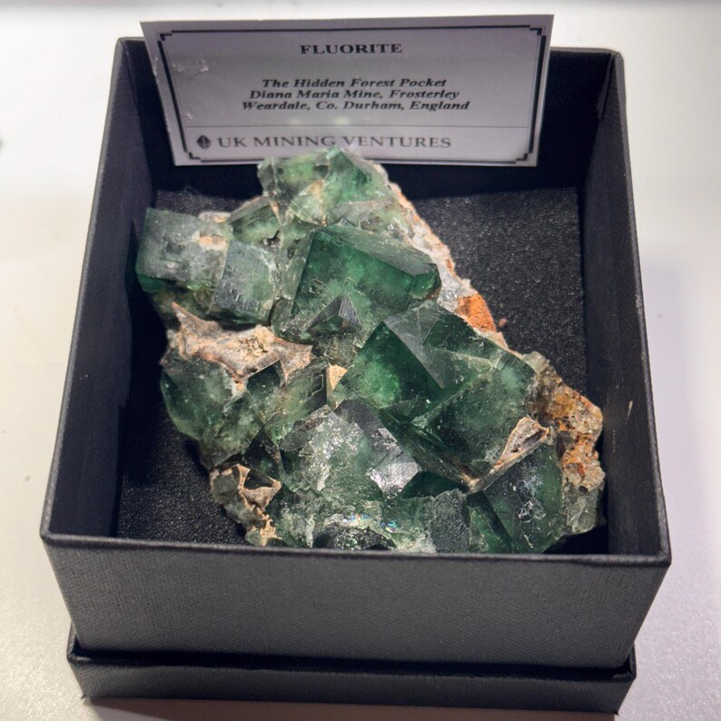 May include: A vibrant green fluorite mineral specimen from the Hidden Forest Pocket, Diana Maria Mine, in a black display box. The specimen features crystalline structures with a mix of green hues. A label provides details about the origin.