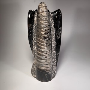 Orthoceras fossil tower | fossil cephalopod, fossil statue, fossil carving, freestanding fossil, collector must have, Morocco specimen