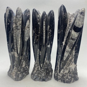 Orthoceras fossil tower, cephalopod fossil stone | fossil statue, fossil carving, freestanding, fossil lover gift, 7-9 inches tall